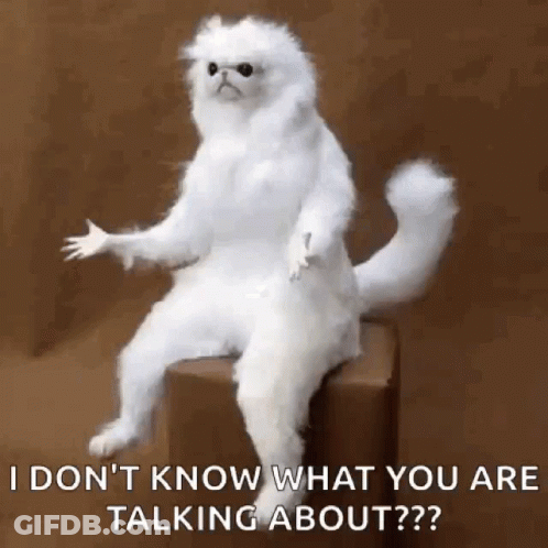 White Cat Sitting On Box Saying I Don't Know What You Are Talking About GIF