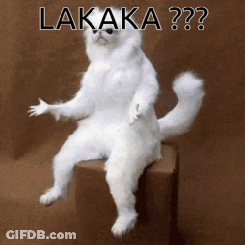 White Cat Sitting On Box Saying Lakaka GIF