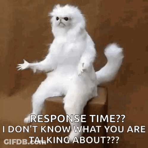White Cat Sitting On Box Saying Response Time GIF