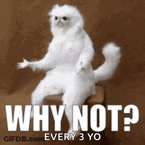White Cat Sitting On Box Saying Why Not Every 3 Yo GIF
