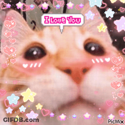 White Cat Sitting On Couch Saying I Love You GIF