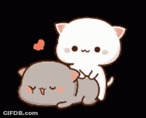 White Cat Sitting On Gray Cat GIF