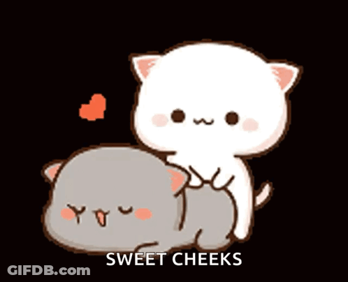 White Cat Sitting On Gray Cat Sweet Cheeks GIF