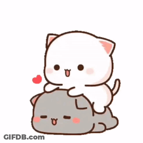 White Cat Sitting On Gray Cat GIF