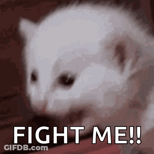 White Cat Sitting On Red Surface Saying Fight Me GIF