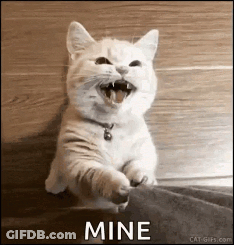 White Cat Sitting With Open Mouth Mine GIF