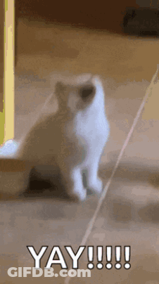 White Cat Sitting With Open Mouth Yay GIF