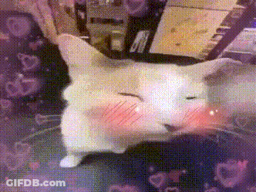 White Cat Sitting With Red Spot On Face GIF