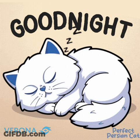 White Cat Sleeping Goodnight Perfect Persian Cat GIF