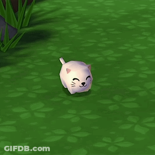 White Cat Smiling Walking On Grass GIF