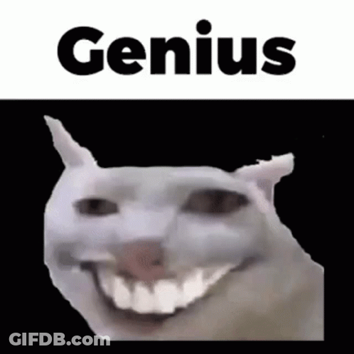 White Cat Smiling With Genius GIF