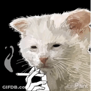 White Cat Smoking Cigarette Ibis Paint GIF