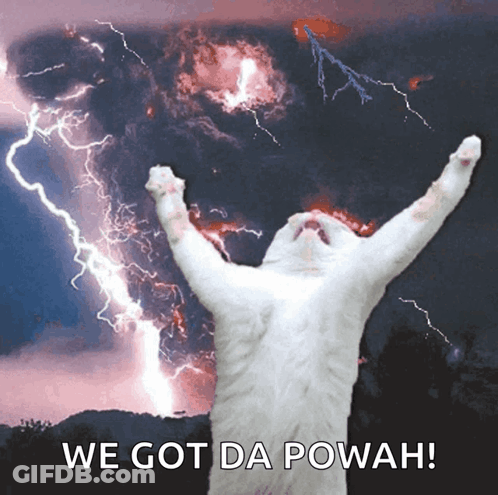 White Cat Standing Before Lightning Storm GIF