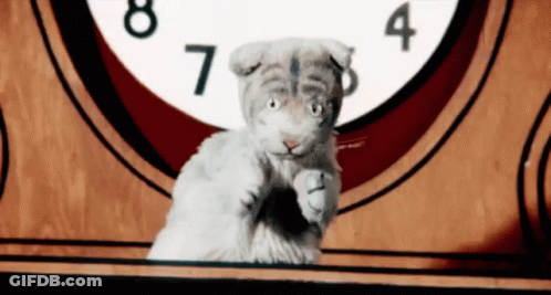 White Cat Standing In Front Of Clock At 8 And 4 GIF
