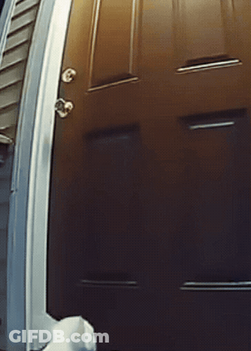 White Cat Standing In Front Of Door GIF