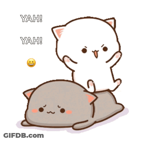 White Cat Standing On Grey Cat GIF