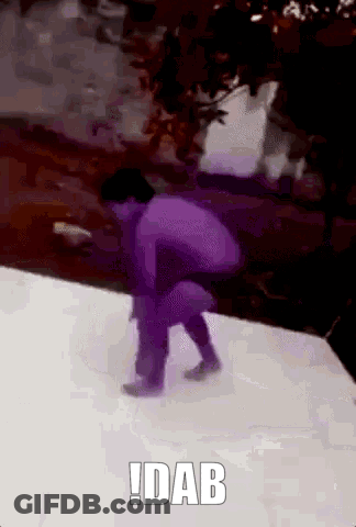 White Cat Standing On Hind Legs GIF