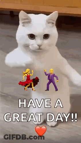 White Cat Standing With Dancing Emojis GIF