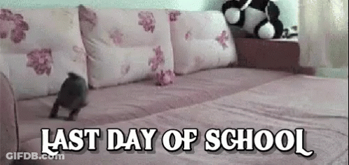 White Cat Standing With Paws Up Last Day Of School GIF