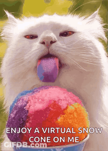 White Cat Sticking Tongue Out Eating Snow Cone GIF