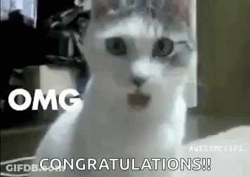 White Cat Surprised Saying Congratulations GIF