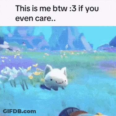 White Cat Swimming This Is Me Btw :3 If You Even Care GIF