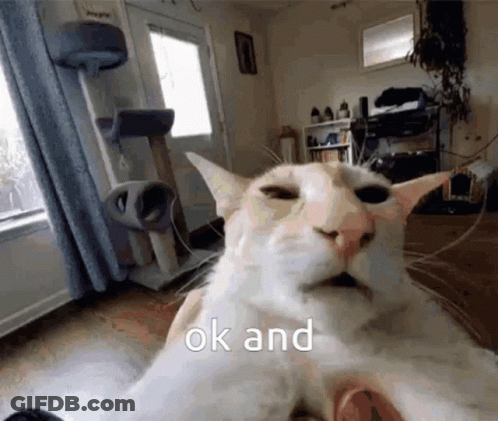 White Cat Taking Selfie Saying Ok GIF