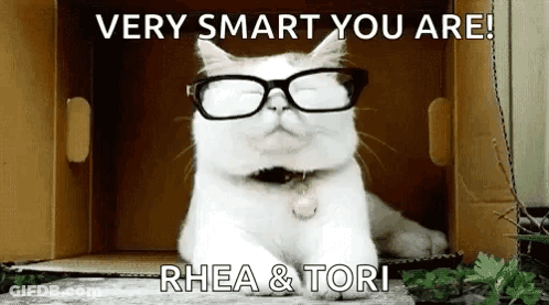 White Cat Wearing Glasses In Cardboard Box GIF