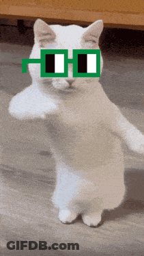 White Cat Wearing Green Glasses GIF