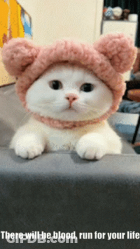 White Cat Wearing Pink Hat There Will Be Blood GIF