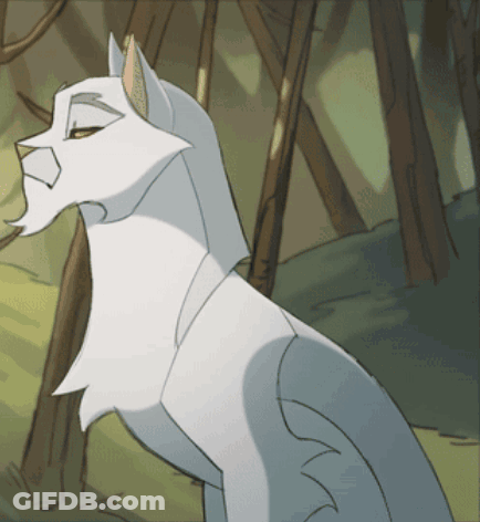 White Cat With Beard GIF