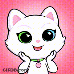 White Cat With Big Eyes And Pink Collar GIF