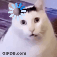 White Cat With Black Spot On Head Sitting On Bed GIF