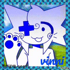 White Cat With Blue Cross Named Wini GIF