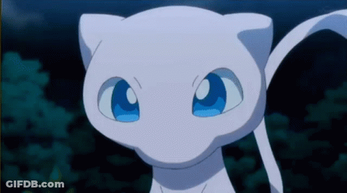 White Cat With Blue Eyes Looking At Camera GIF