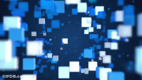 White Cat With Blue Eyes On Blue Surface GIF