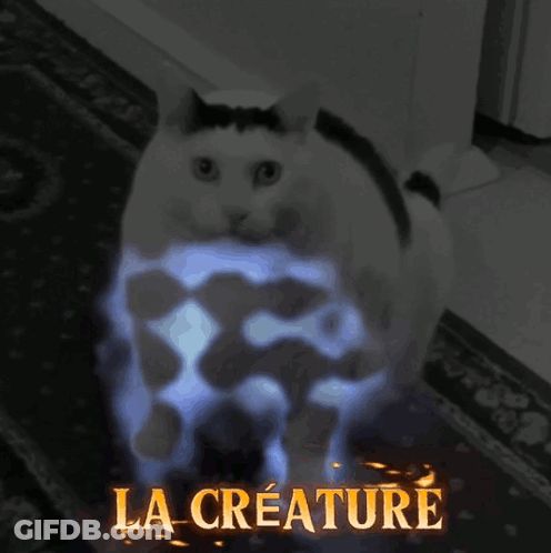 White Cat With Blue Flames Saying La Creature GIF