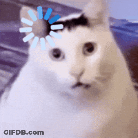White Cat With Blue Loading Bar On Head GIF