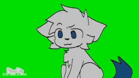 White Cat With Blue Tongue Sticking Out GIF