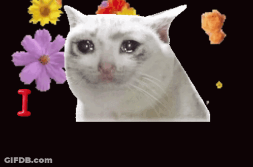 White Cat With Flowers Saying I Love You GIF