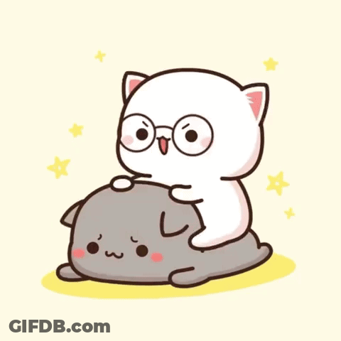 White Cat With Glasses Sitting On Gray Cat GIF