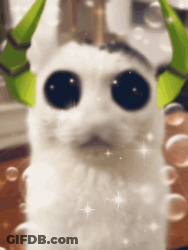 White Cat With Green Horns And Big Eyes GIF