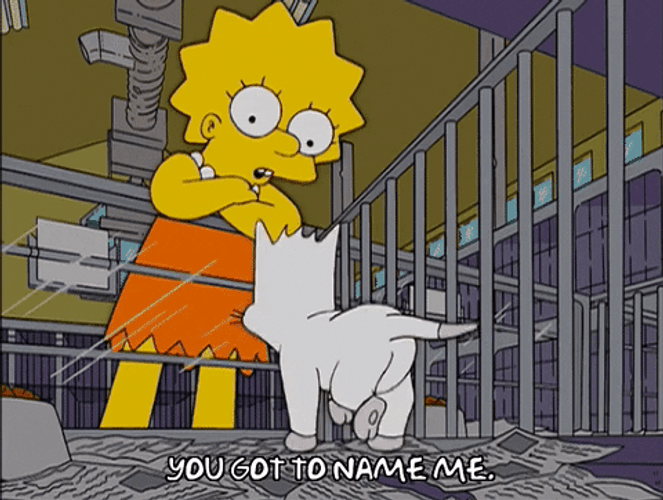 White Cat With Lisa Simpson GIF