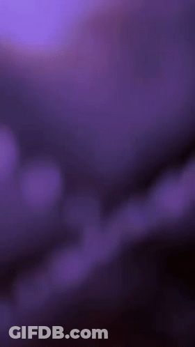 White Cat With LMFAO Leafy GIF