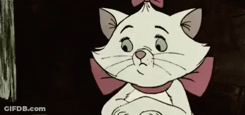 White Cat With Pink Bow GIF