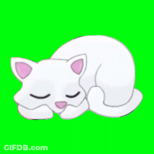 White Cat With Pink Ears Sleeping Eyes Closed GIF