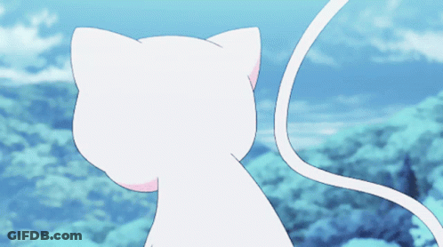 White Cat With Pink Nose Looking At Sky GIF