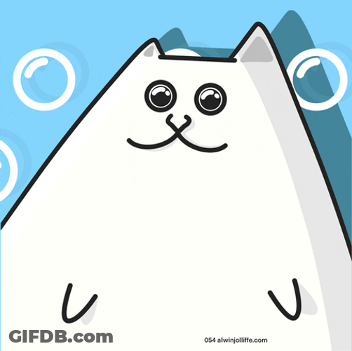 White Cat With Round Eyes GIF