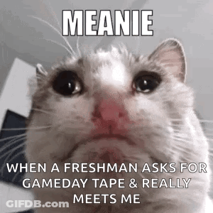 White Cat With Sad Look GIF