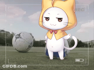 White Cat With Yellow Hood And Soccer Ball GIF